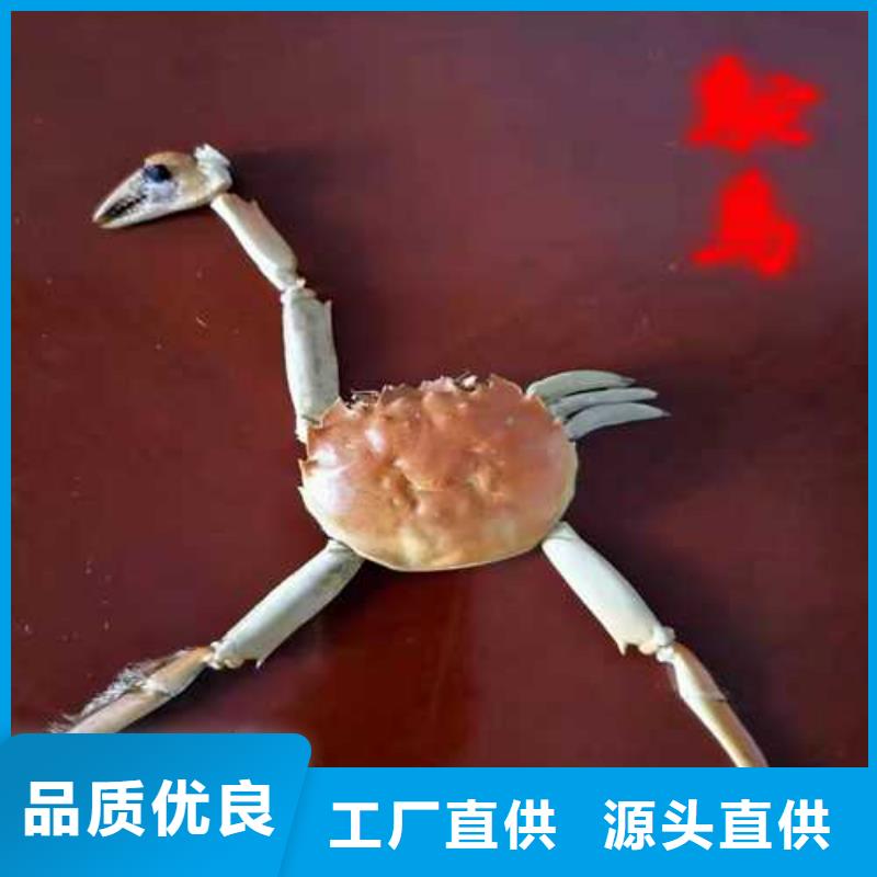 阳澄湖大闸蟹敢为天下鲜