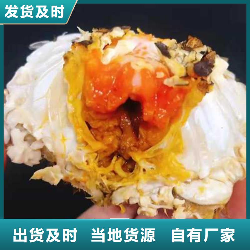 桂阳阳澄湖大闸蟹批发