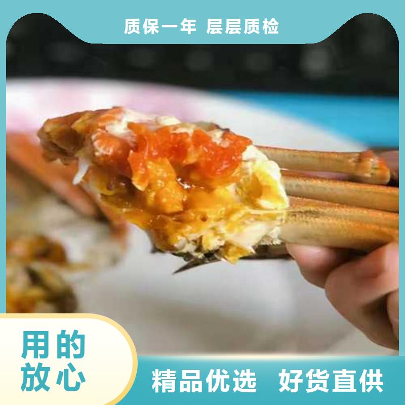 盐源阳澄湖大闸蟹超大鲜活