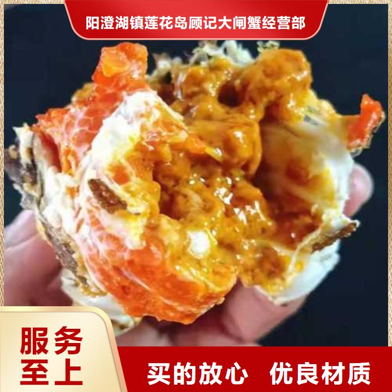 霞浦阳澄湖大闸蟹人气高