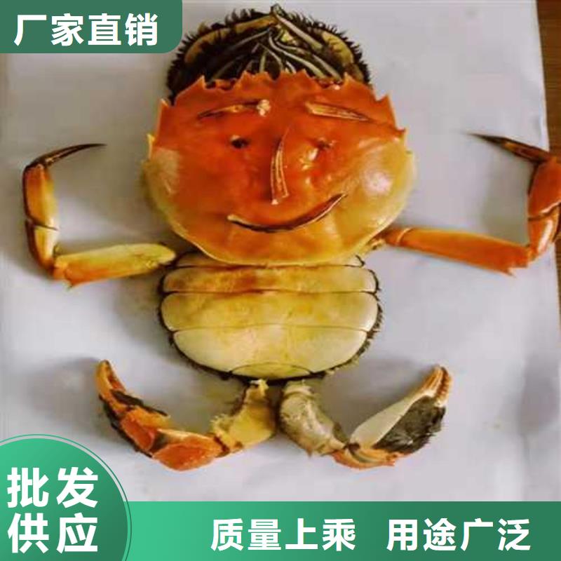 阳澄湖大闸蟹订购