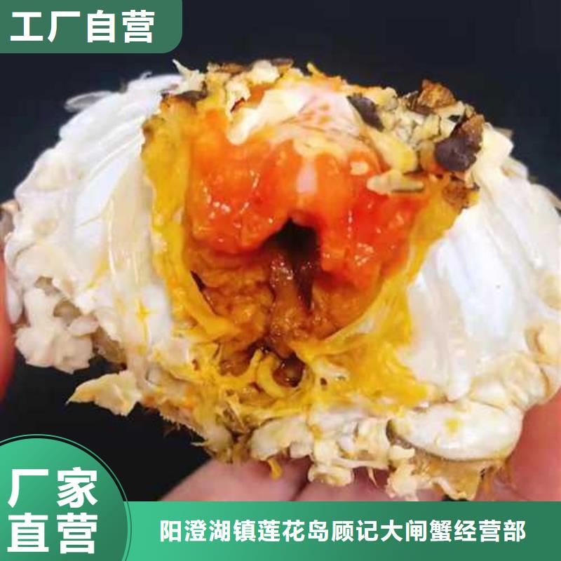 龙州阳澄湖大闸蟹高端品质