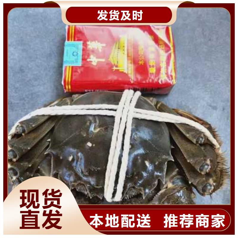 西华阳澄湖大闸蟹无蟹可击