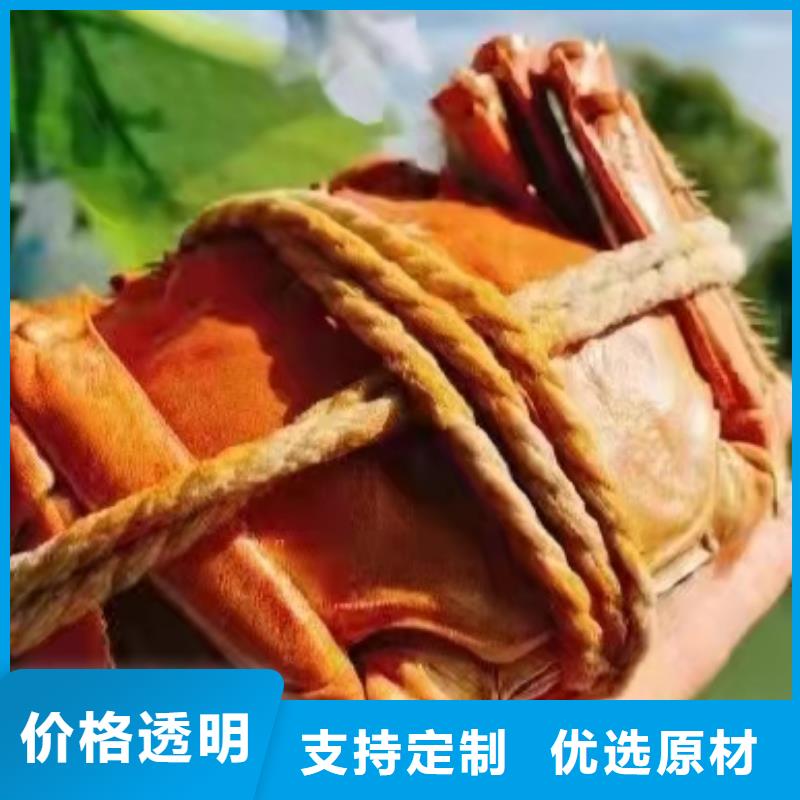建始阳澄湖大闸蟹联系电话