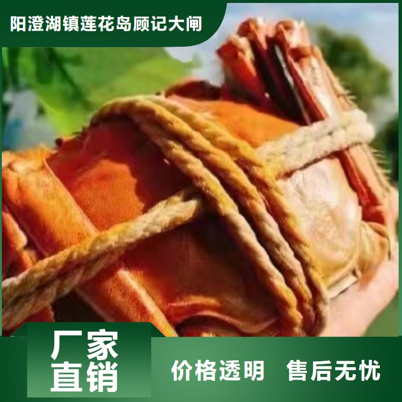 大螃蟹专卖点