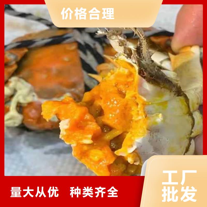 都昌阳澄湖大闸蟹养殖商