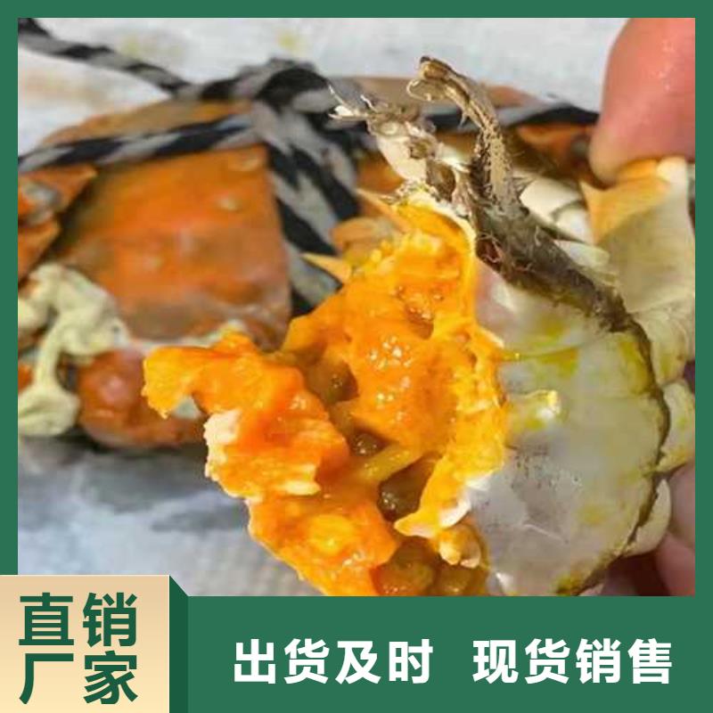 阳澄湖莲花岛