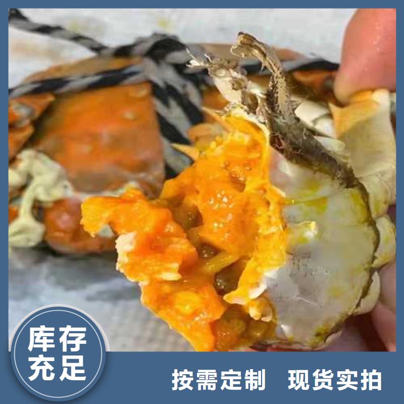 丰泽区阳澄湖大闸蟹旗舰店