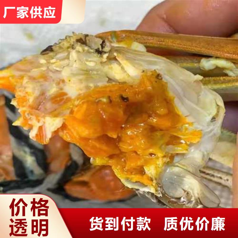 建始阳澄湖大闸蟹联系电话
