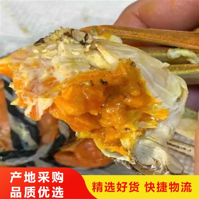 平江阳澄湖大闸蟹超大鲜活
