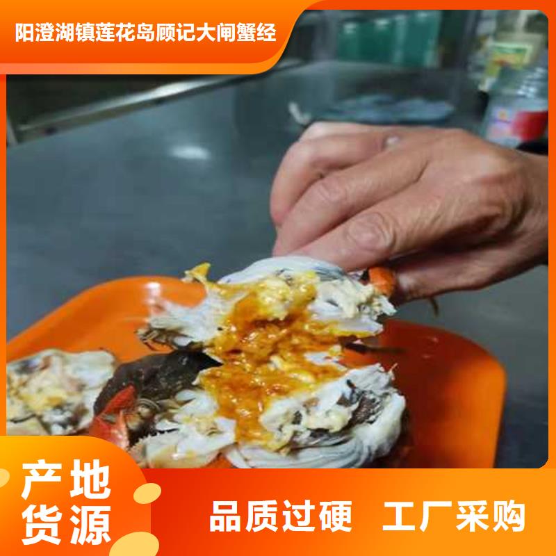 双流阳澄湖大闸蟹团购更优惠