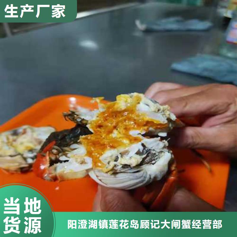八宿阳澄湖大闸蟹养殖基地