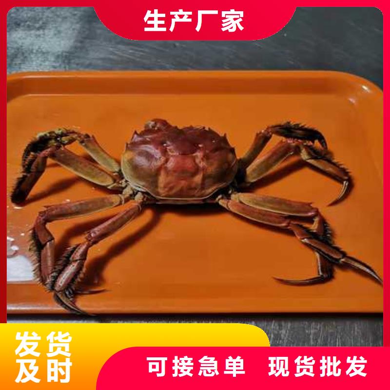 建始阳澄湖大闸蟹联系电话