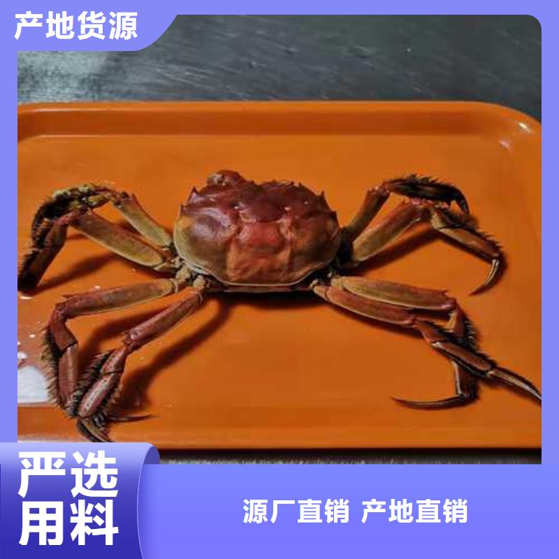 广灵阳澄湖大闸蟹敢为天下鲜