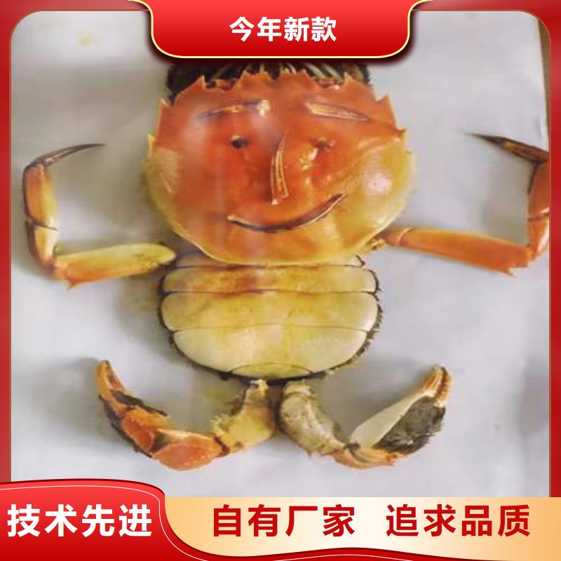 八宿阳澄湖大闸蟹养殖基地