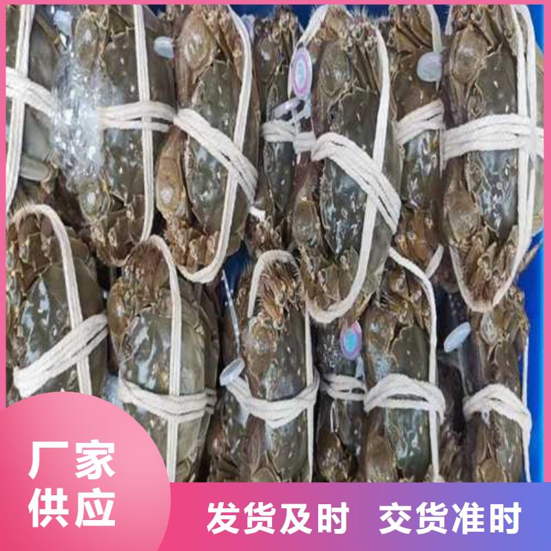 北仓阳澄湖大闸蟹膏肥肉美