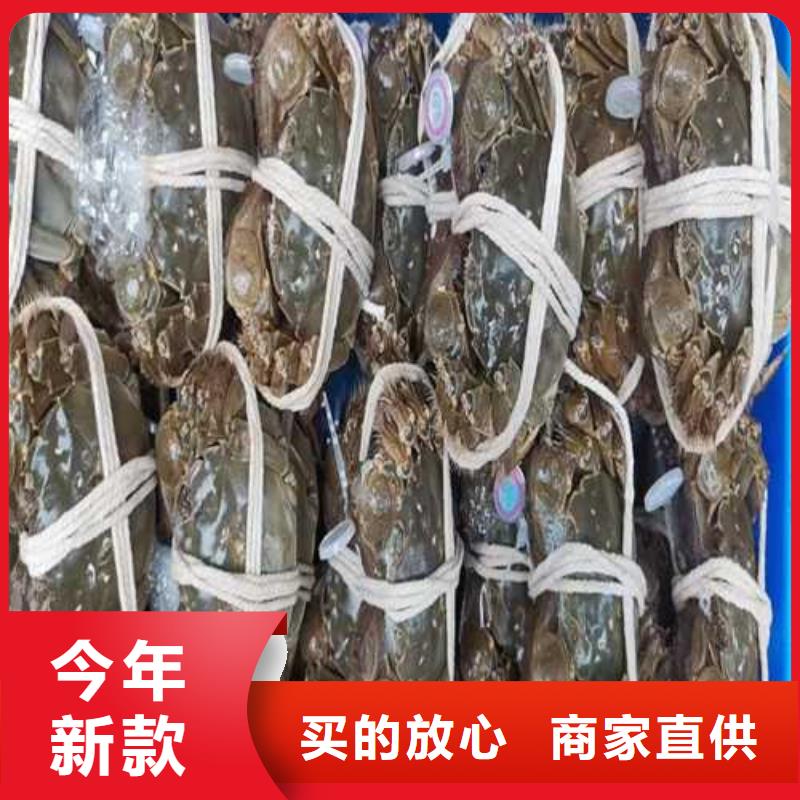 阳澄湖大闸蟹供货速度快