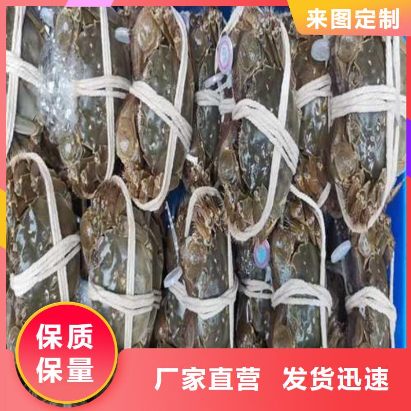 南方大螃蟹鲜活特大
