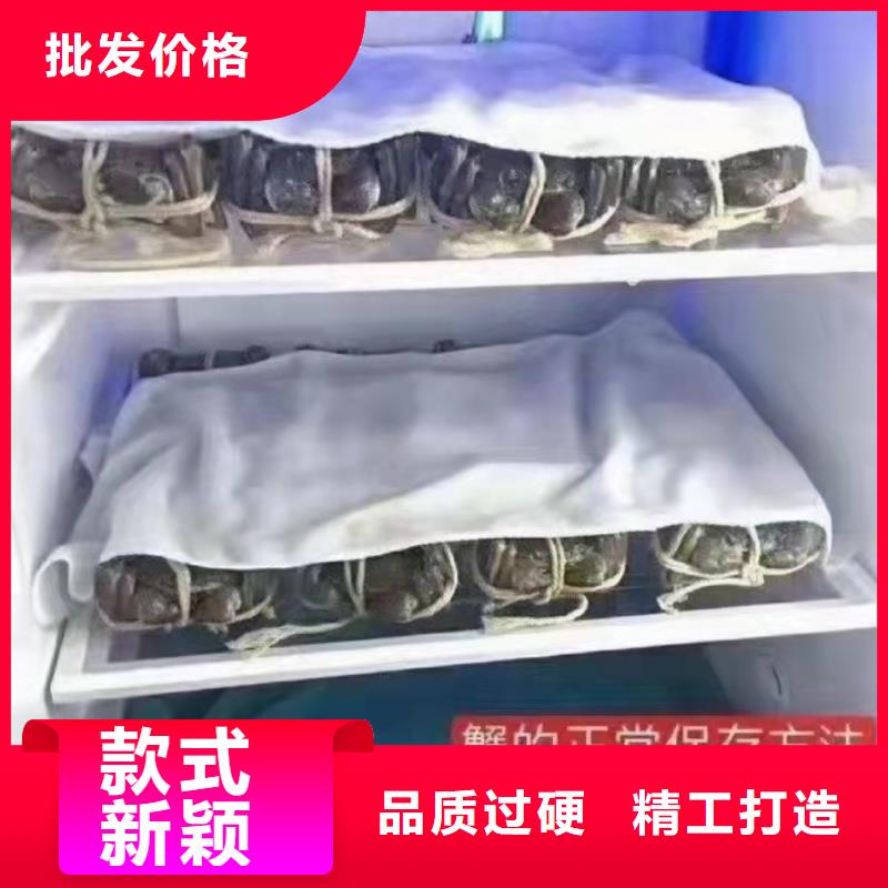 阳澄湖大闸蟹无蟹可击