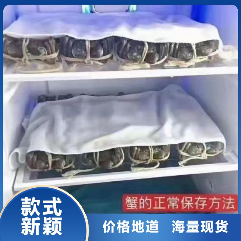 丰泽区阳澄湖大闸蟹旗舰店