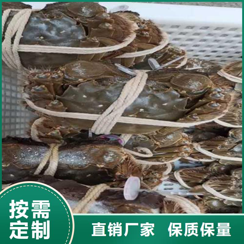 思明区阳澄湖大闸蟹价格