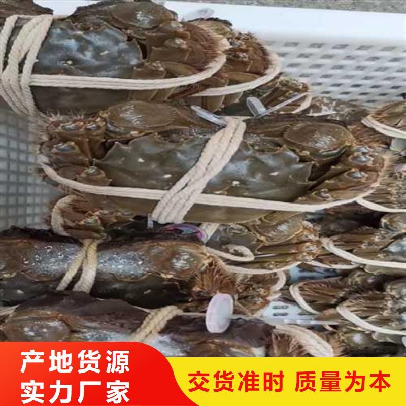 今天的螃蟹价格表