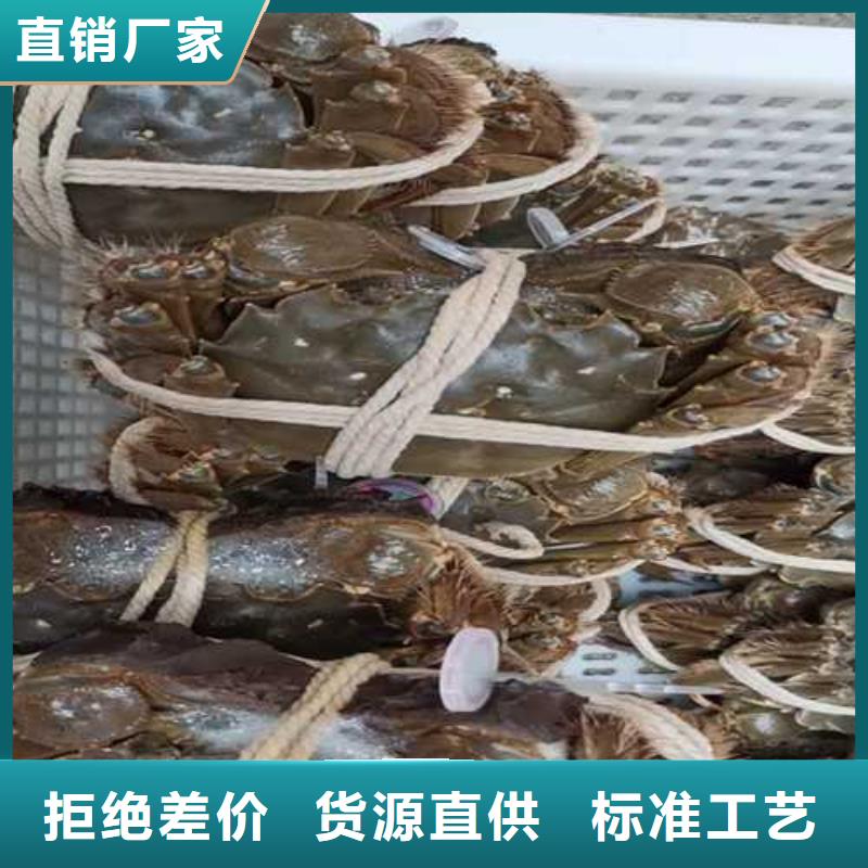今天的螃蟹批发商