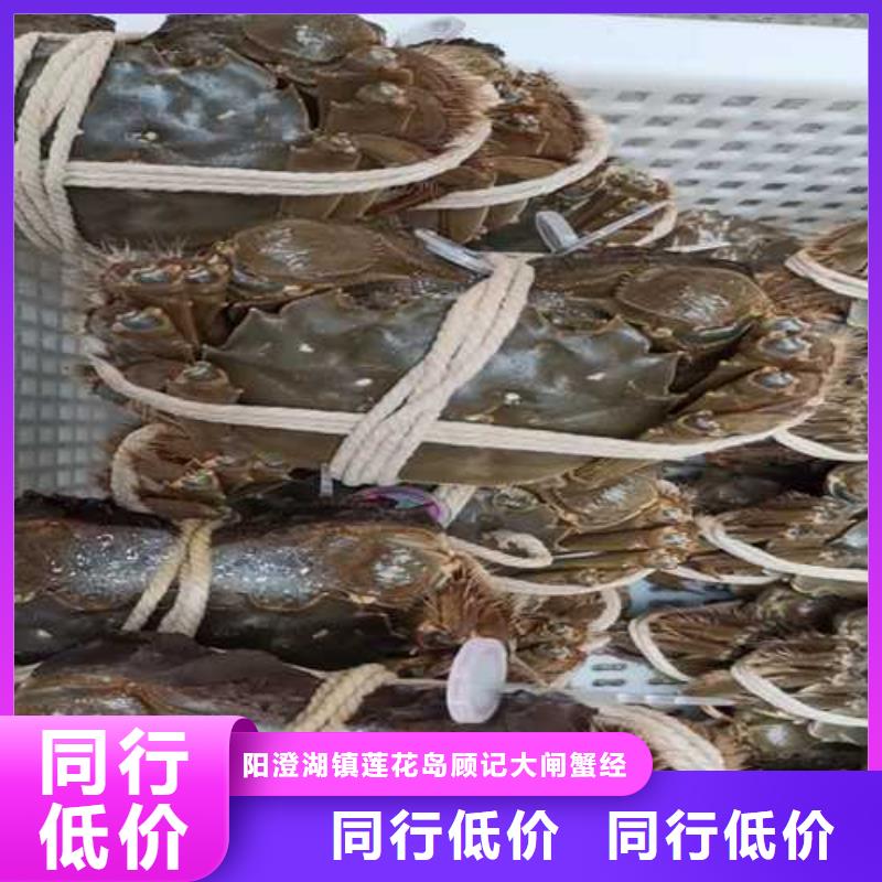 阳澄湖大闸蟹上市价格