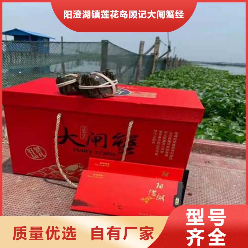 霞浦阳澄湖大闸蟹人气高