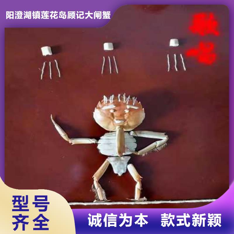 阳澄湖大闸蟹联系电话