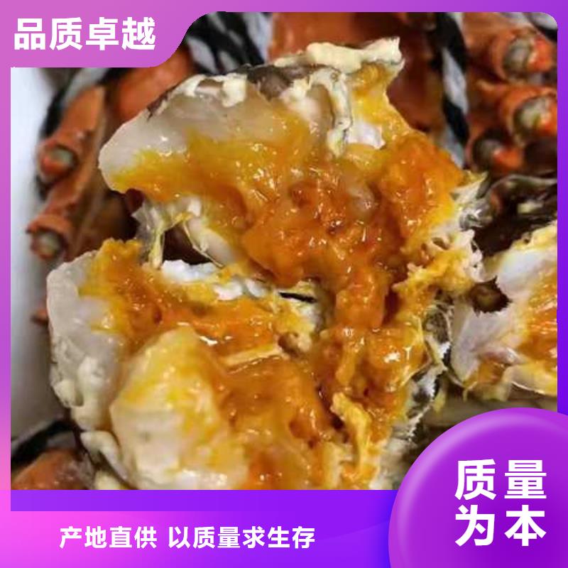山亭阳澄湖大闸蟹膏肥肉美