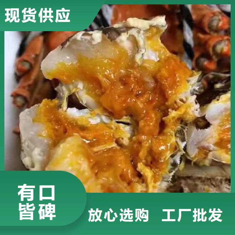 集安县阳澄湖大闸蟹网上买联系电话
