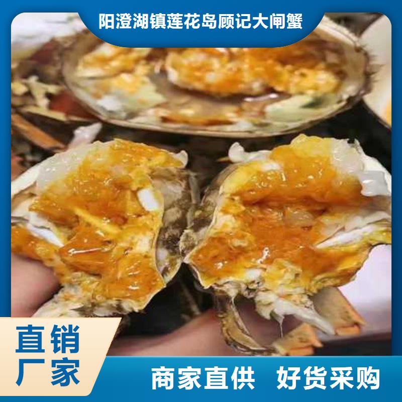 阳澄湖大闸蟹专卖