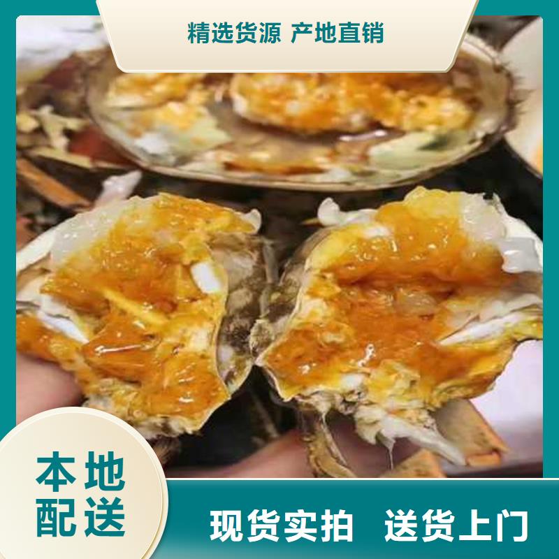 建始阳澄湖大闸蟹联系电话