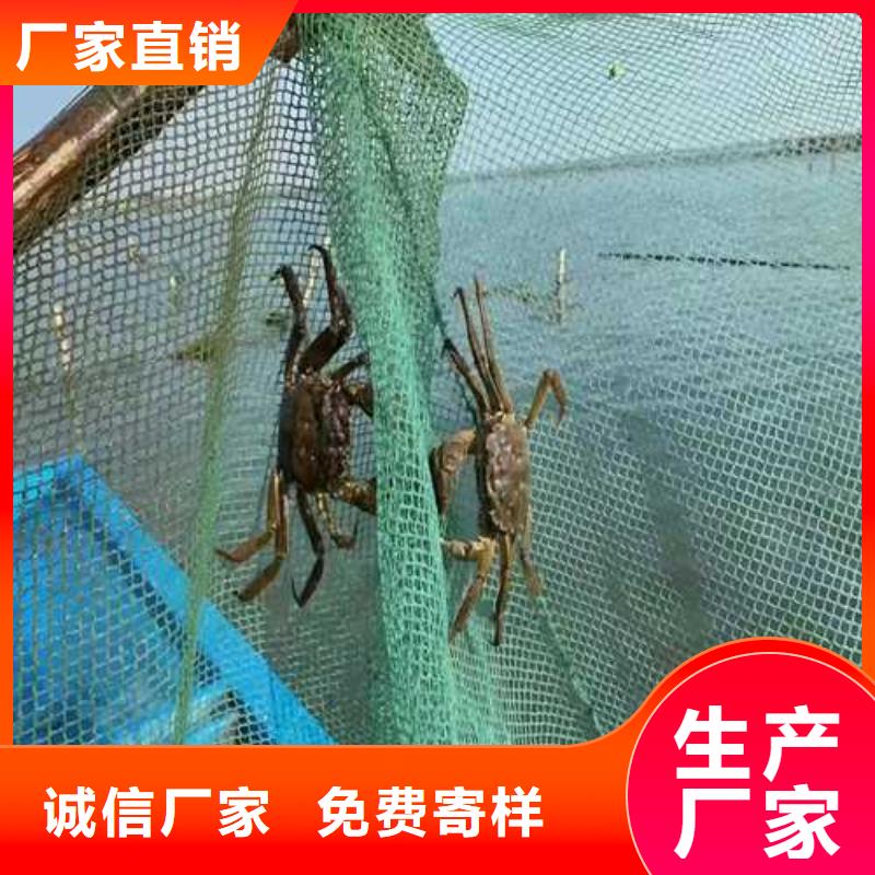 五河阳澄湖大闸蟹快递到家