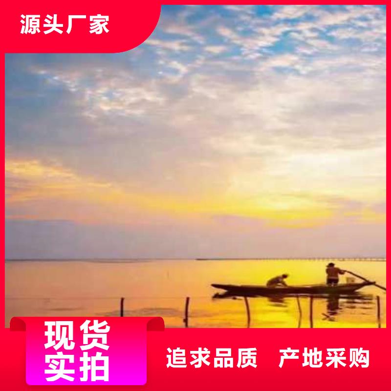 阳澄湖大螃蟹咨询享优惠
