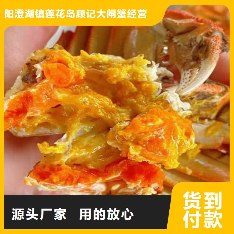 镇平阳澄湖大闸蟹订购