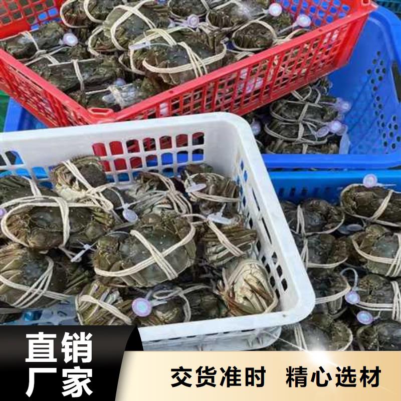 游仙阳澄湖大闸蟹敢为天下鲜