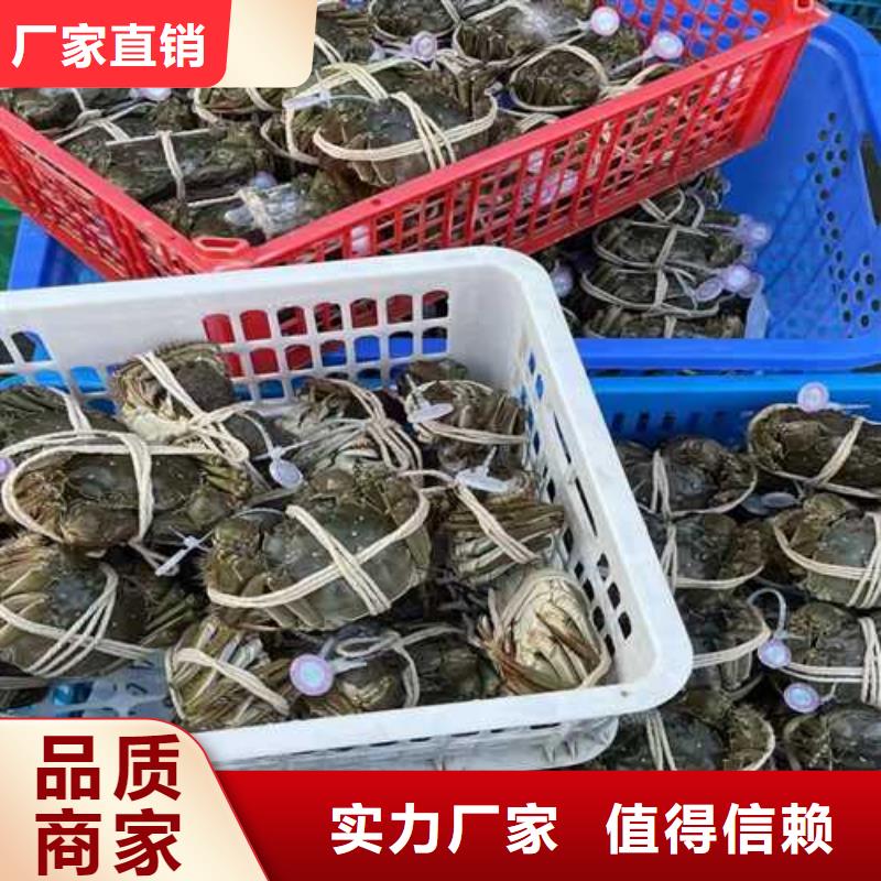依安阳澄湖大闸蟹膏肥肉美