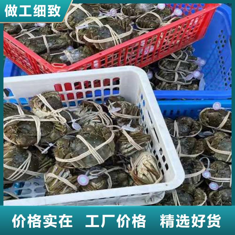 仁寿阳澄湖大闸蟹行情