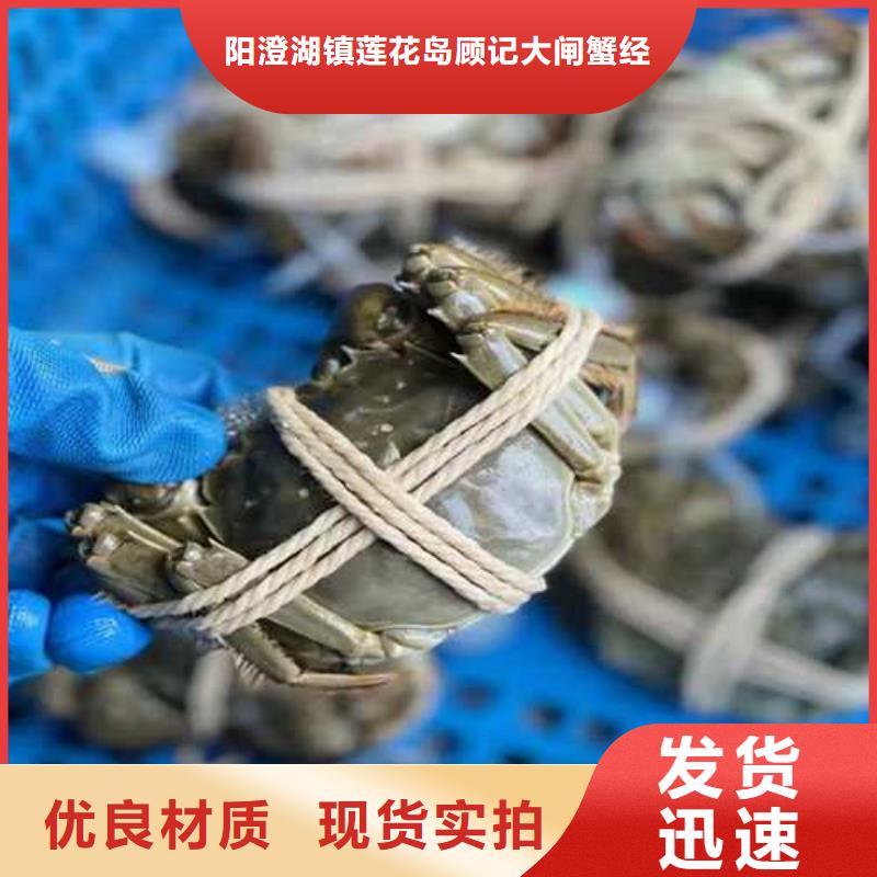 丰泽区阳澄湖大闸蟹旗舰店