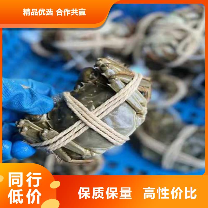 源汇阳澄湖大闸蟹闪电配货