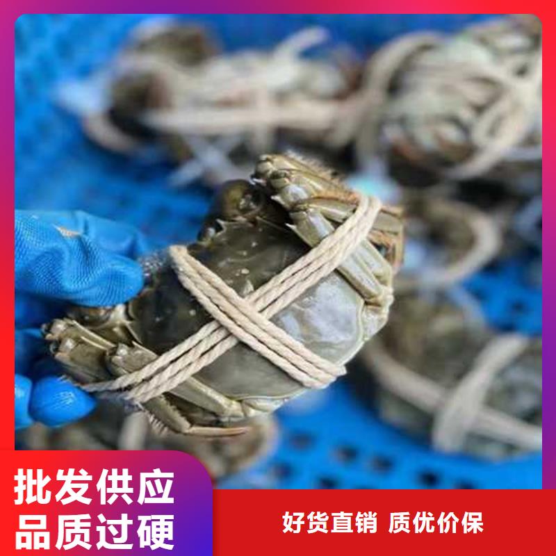 龙潭阳澄湖大闸蟹尝鲜