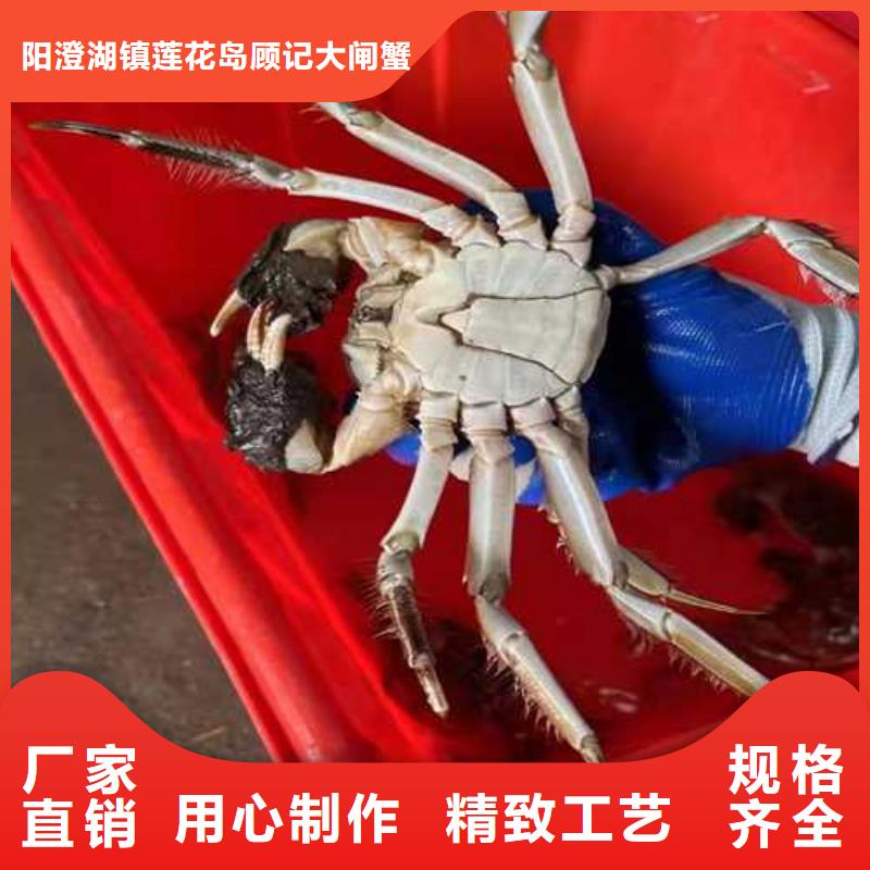 阳澄湖大闸蟹联系电话