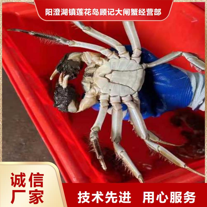 阳澄湖农家乐