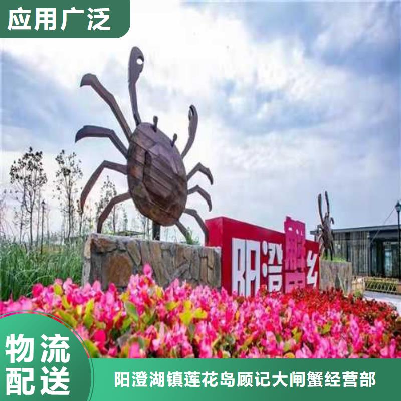 乐业阳澄湖大闸蟹高端品质