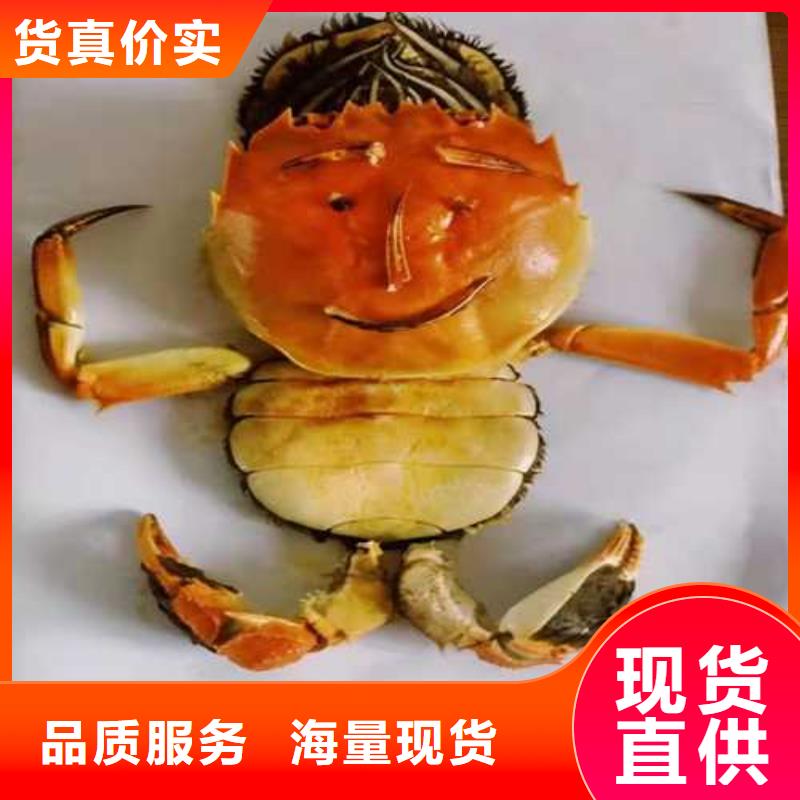 2025欢迎访问##阳澄湖大闸蟹##实体厂家