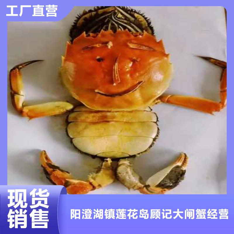 襄汾阳澄湖大闸蟹奢华美味