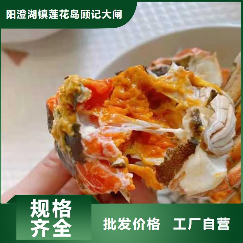2025欢迎访问##阳澄湖大闸蟹##实体厂家