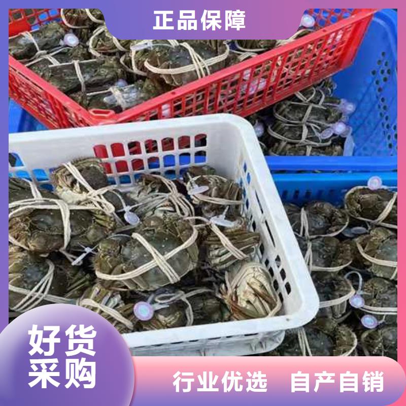 阳澄湖大闸蟹上市价格
